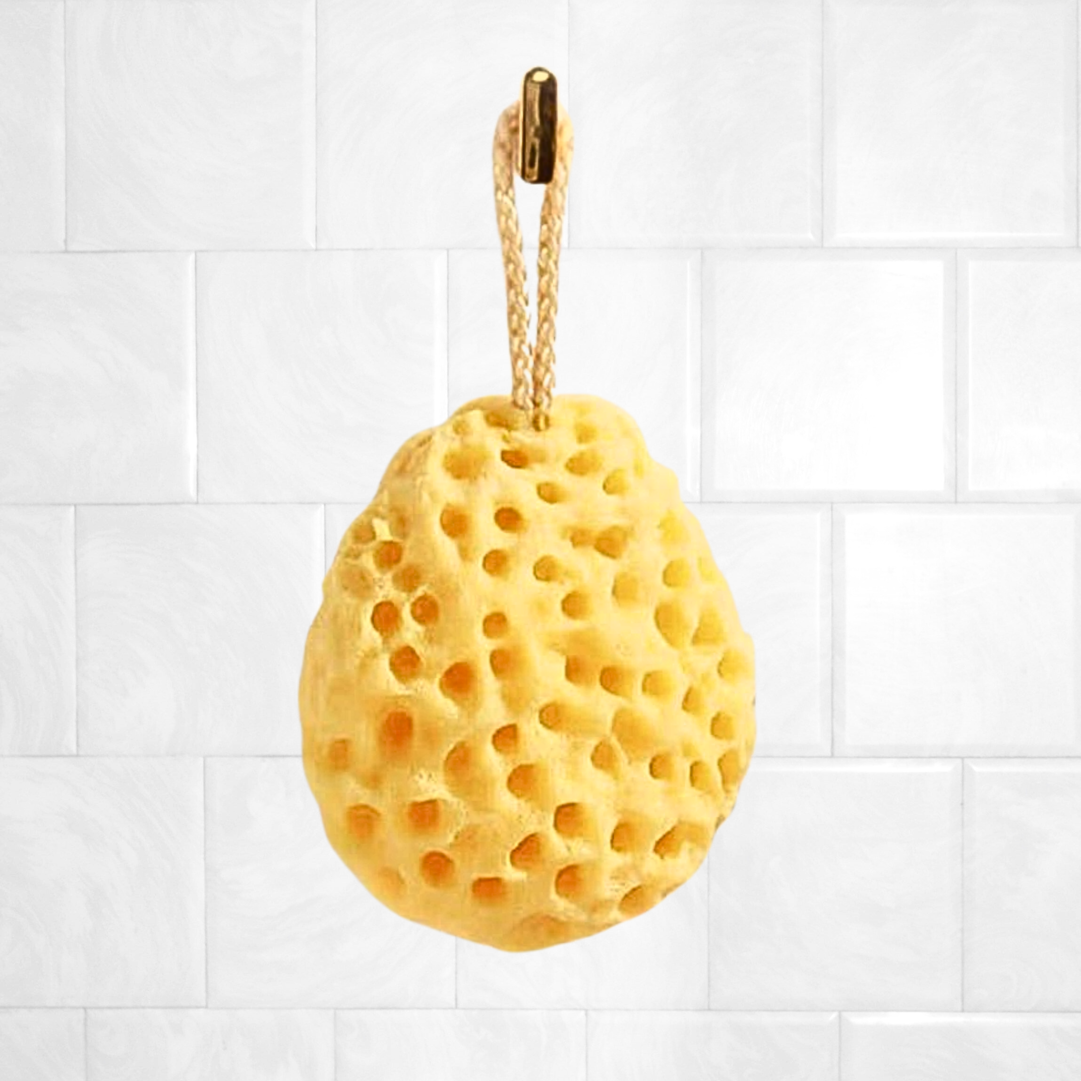 Mulen Cheese Bath Sponge