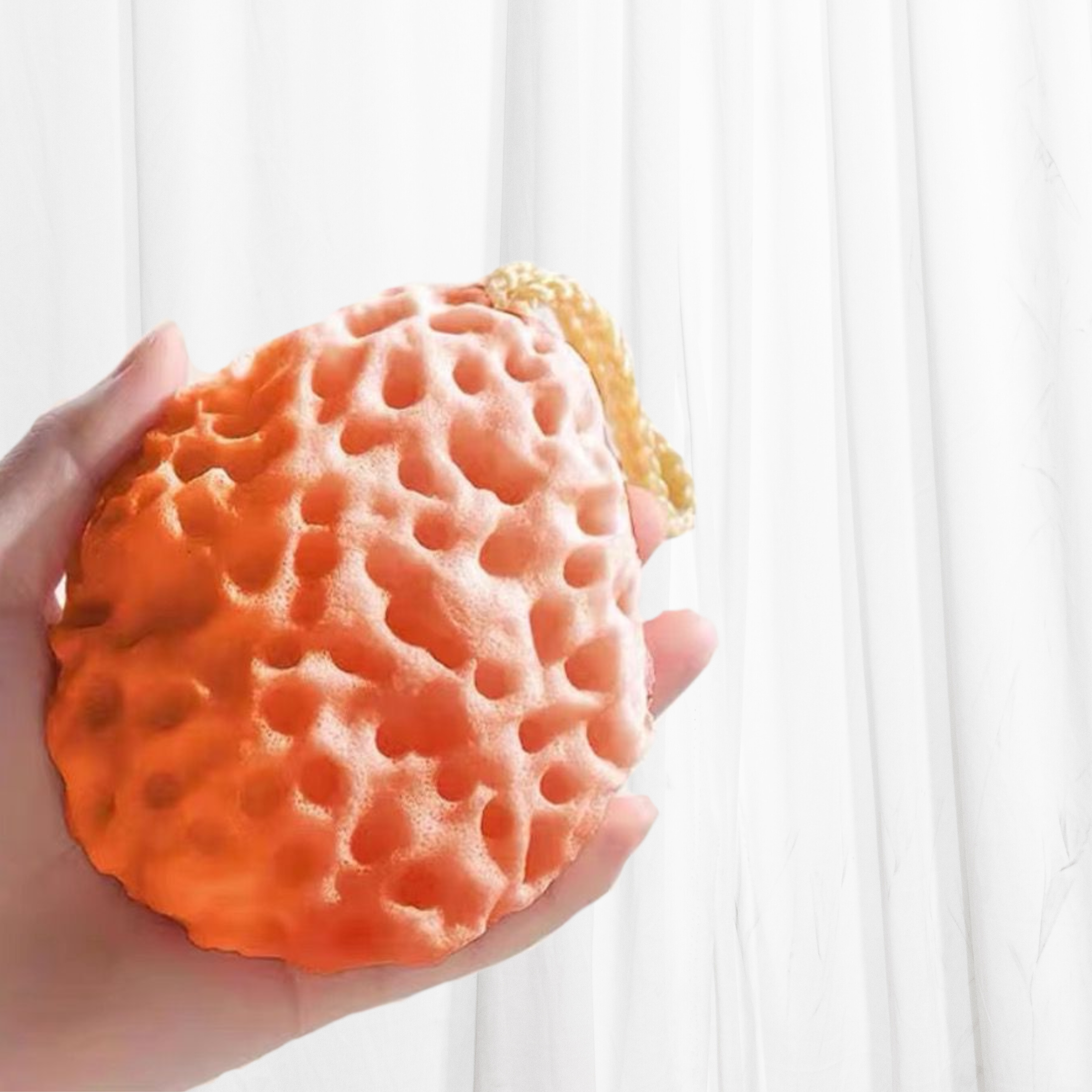 Mulen Cheese Bath Sponge